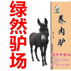 肉驴适合那个地区养殖？德州驴肉驴，乌头驴，泌阳驴 价格是多少