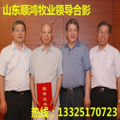 、广灵驴、泌阳驴、改良毛驴、育肥