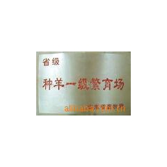 供小尾寒羊种羊、羔羊、公羊、小尾寒羊的养殖技术