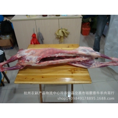 不带皮 小羔羊 整羊上等选材 锡林郭勒盟