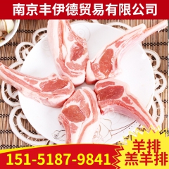 优质羊排羔羊排精排 正宗内蒙巴草原鑫河尾寒羔羊 精致上乘