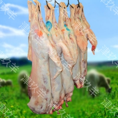 津玖羊/宁夏盐池滩羊肉 密齿羔羊 白条羊 厂家直销 原产地发...