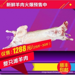 广东滩羊肉 滩羊肉酮体  吃盐池滩羊 只需蘸点盐 盐池滩羊肉...