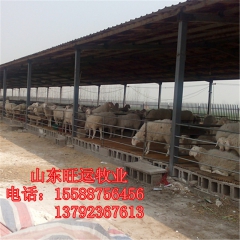 中华老字号 东阿阿胶桃花姬阿胶糕300g
