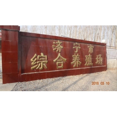 肉牛 肉牛犊 肉驴 肉驴苗 肉羊