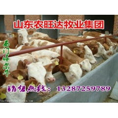 肉牛价格上涨离不开经济的发展