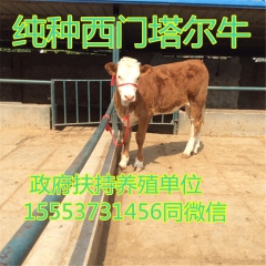 中华老字号 东阿阿胶桃花姬阿胶糕300g