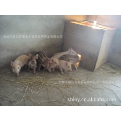 中华老字号 东阿阿胶桃花姬阿胶糕300g