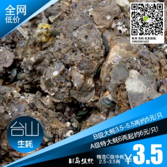 精选C级台山上下川岛中壳蚝2.5~ 3.5两生蚝 烧烤炭烤碳...