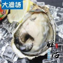 大连特产海鲜 鲜活海蛎子（带壳） 500g 生蚝 新鲜牡蛎 ...