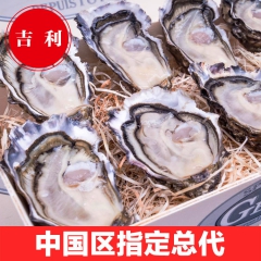 法国进口GEAY吉利N2生蚝海鲜批发网进口海鲜鲜活牡蛎