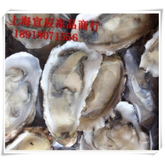海鲜水产 餐饮酒店【烧烤食材】牡蛎 冷冻半壳生蚝