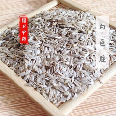 福卫药业 莴苣子 白巨胜 生菜子 白苣子冷背药材品种批发物美...