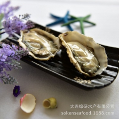 大连海鲜 半壳生蚝 牡蛎 海蛎 牡蛎肉 原浆单冻 90只/件...