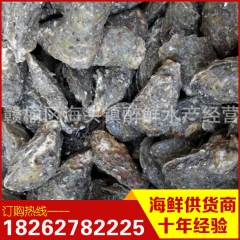 鲜活生蚝 野生牡蛎 连云港特产 海鲜排档专用海鲜 野生 特价
