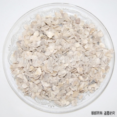 批发供应中药 牡蛎 煅牡蛎 生牡蛎