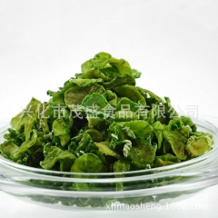 长期批发 脱水莴苣干 杀菌脱水莴苣 高品质脱水莴苣干