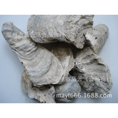 优质中药材批发 海洋生长正品生牡蛎