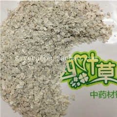 优质中药材批发 生牡蛎 正品保证 牡蛎片 特级