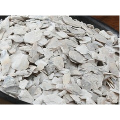 批发中药材粉片均价 生牡蛎  质量保证