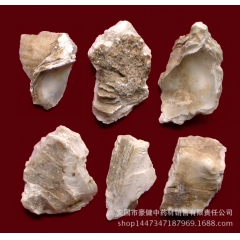 安国豪键供应冷背中药材 牡蛎 牡蛎粉  产地货源 品种齐全