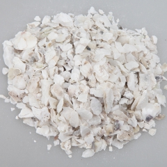 批发供应中药材生牡蛎 牡蛎片 另有煅牡蛎 大货批发 牡蛎
