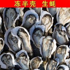 【皇冠信誉】一手货源【烧烤食材】牡蛎 冷冻半壳生蚝 生蚝