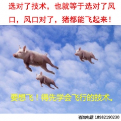 莴苣,甜酱莴苣生产工艺技术配方专题(新版)