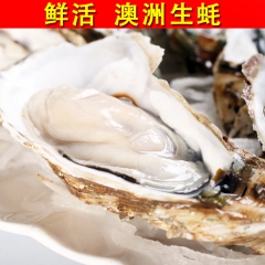 【皇冠信誉】 直接生食 澳洲牡蛎 鲜活生蚝 鲜活澳洲生蚝 生...