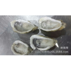 海鲜一站式海鲜水产 餐饮酒店 烧烤半壳生蚝 牡蛎 海蛎 72...