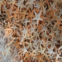 纯天然贝壳海螺 小海星 迷你海星 扁海星 微景观装饰 永生花