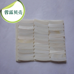 长期大量供应各种天然贝壳、海螺、海星批发 天然白贝壳