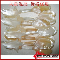 贝壳海螺批发 越南工艺品  深海贝壳海螺  鹰头调羹