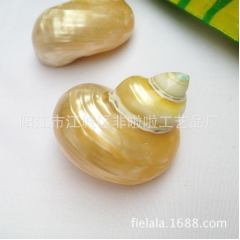 供应天然海螺 贝壳海螺深海银口蝾螺 摆件鱼缸造景装饰品散装批...