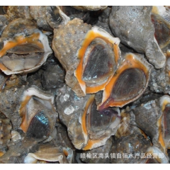 常年供应海螺、贝类批发、酒店供应，量大从优。