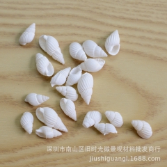 微景观河流小摆件  白色小海螺