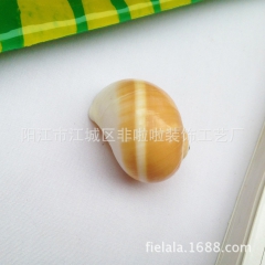 供应天然海螺 贝壳深海红腰带玉螺 摆件鱼缸造景装饰品散装批发