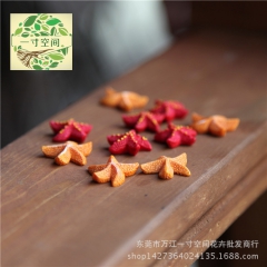 苔藓微景观 海洋装饰 海星 海螺 小海星 五角星 地中海小摆...