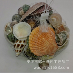 贝壳300克鱼缸造景海螺 鱼缸贝壳海螺 鱼缸装饰 天然贝壳海...