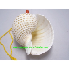 供应纯天然纯手工制作 水波海螺 贝壳系列玩具 儿童们的热爱玩...