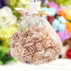 地中海贝壳 东风海螺 水族箱 鱼缸装饰 摄影道具 精美天然