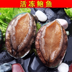 【皇冠信誉】酒店婚宴喜宴 大连鲍鱼 活冻鲍鱼 即食鲍鱼 鲍鱼