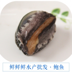 鲍鱼  鲜鲜鲜水产批发各种规格 鲜活鱼类 海鲜 直供餐饮酒店