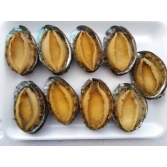 厂家供应新鲜即食鲍鱼 水产冷冻鲍鱼 去肚鲍鱼肉优质价廉9粒批...