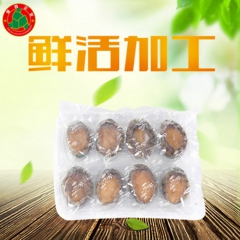 厂家直销 大连鲜活鲍鱼批发 大连特产野生鲍鱼 鲜活海鲜 批发