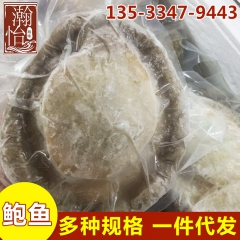 批发正宗纯野生南非青底冻鲍鱼 海鲜干货3-5头 500克鲍鱼...