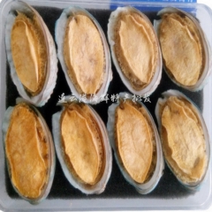 淡干鲍鱼 鲍鱼干 冻干大鲍鱼干 长岛野生特级鲍鱼干 100克...
