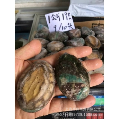 冷冻鲍鱼 鲜鲍鱼 野生大连鲍鱼批发 品质好 欢迎选购