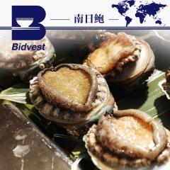 南日鲍 一吉鲍Y8 福建鲍鱼8头鲍 真空包装冻鲍鱼 鲜鲍鱼