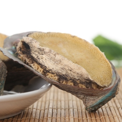 大连特产批发干制大鲍鱼海鲜批发干鲍鱼海产野生大鲍鱼 250g...